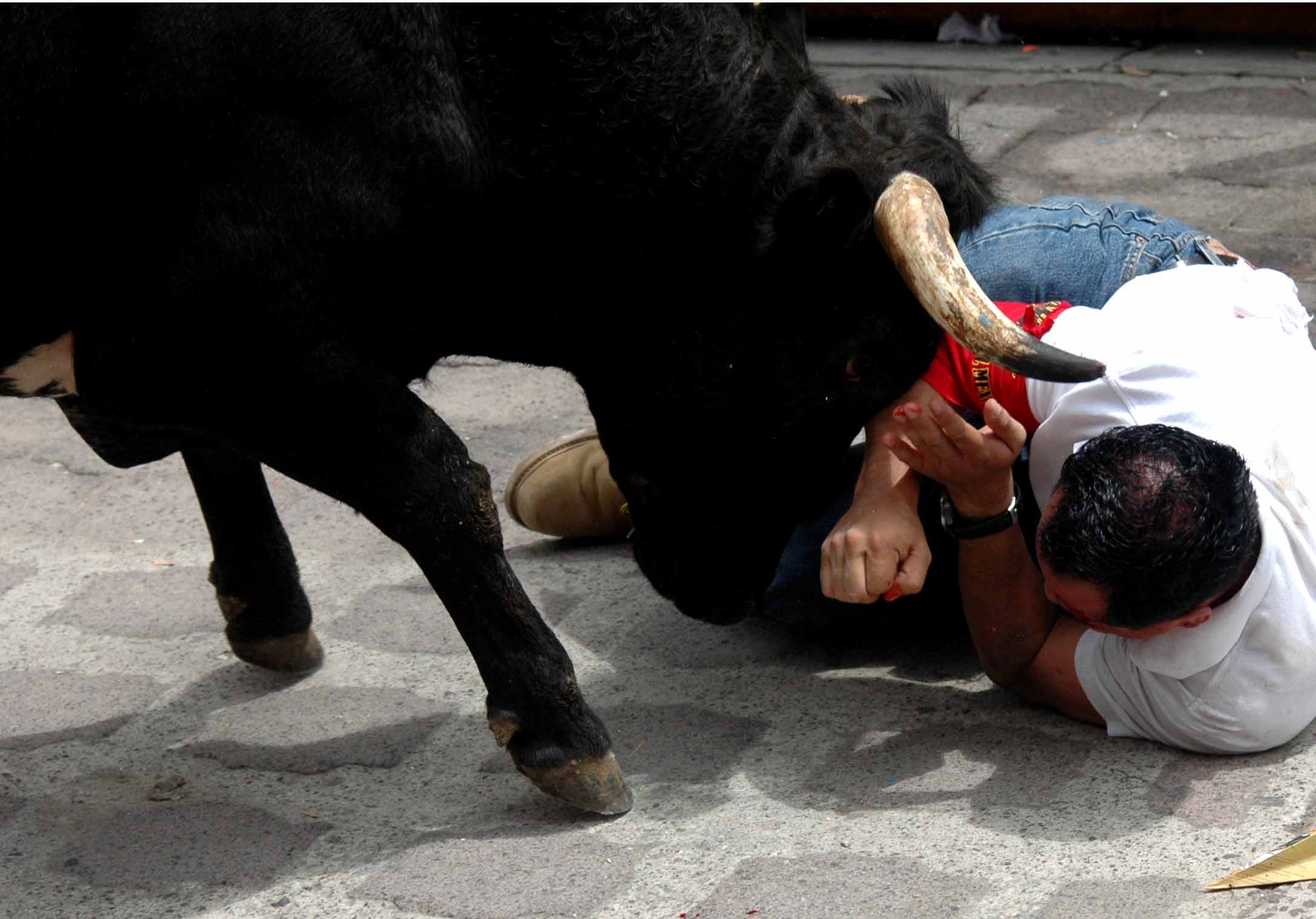 Capea de Toros de Lidia, conocida popularmente como la Xiqueña