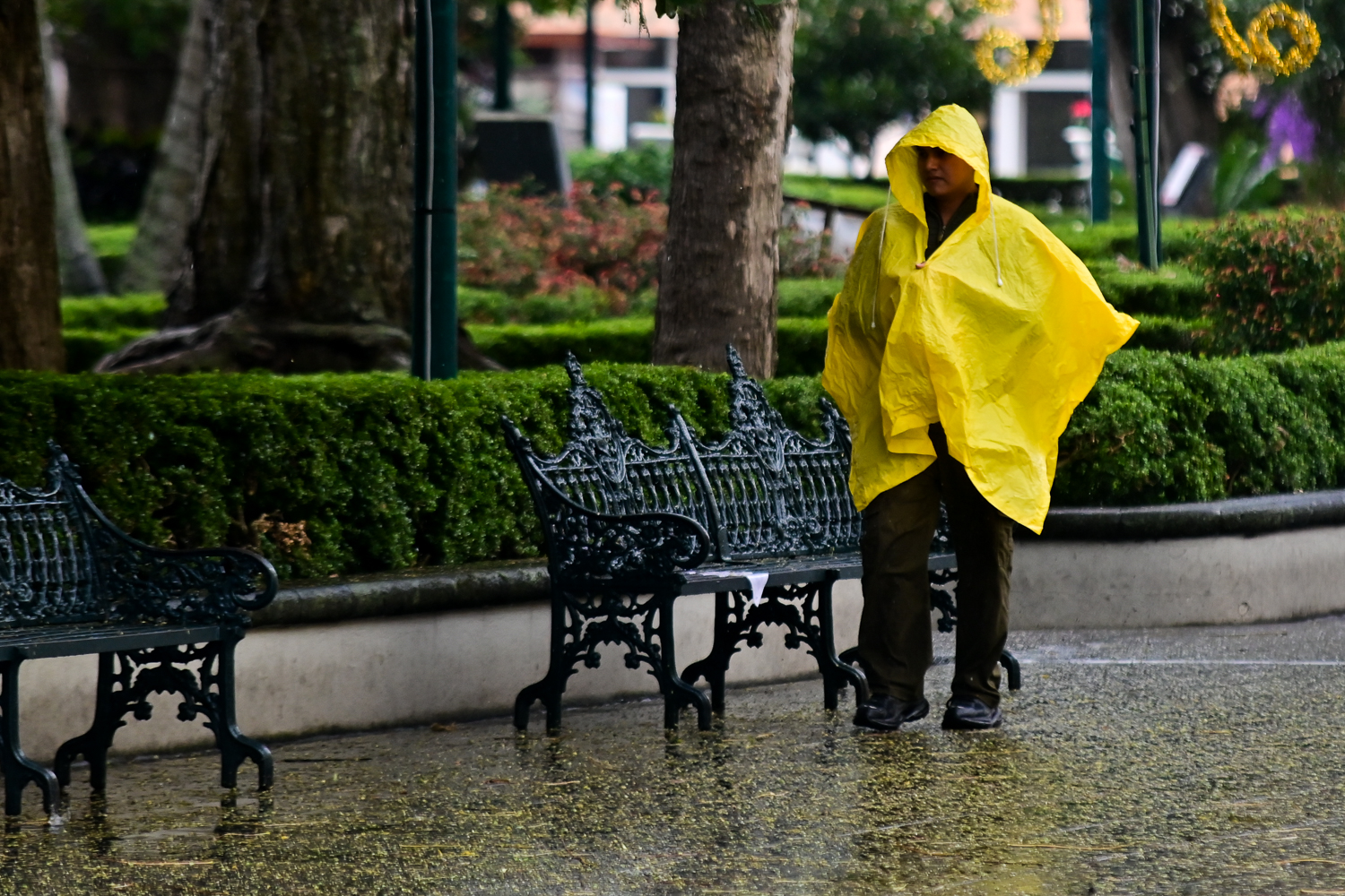 Lluvias , aguaceros