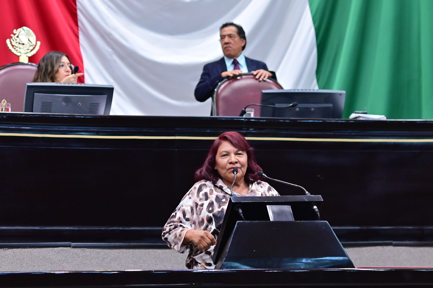 Dip. Victoria Gutiérrez Pérez