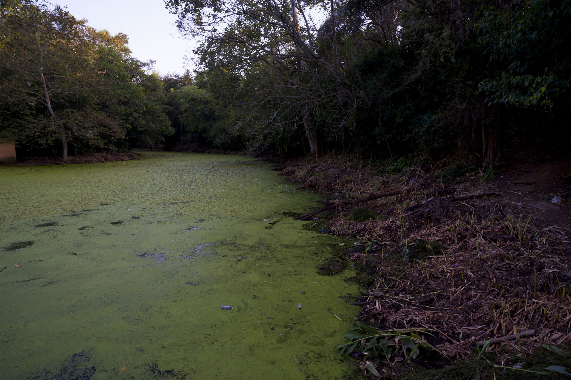 Grave contaminación amenaza el Lago de Las Ánimas en Xalapa