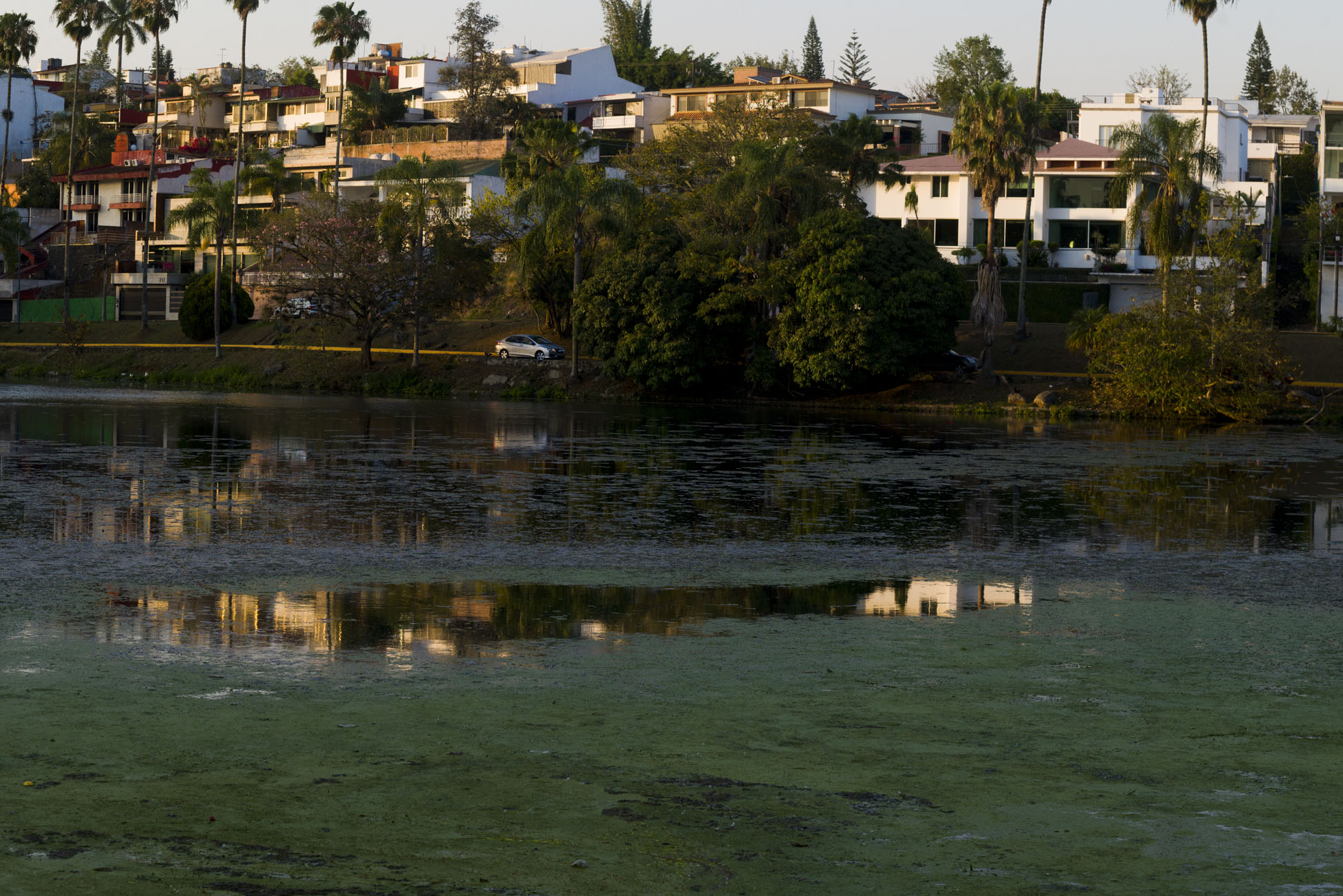 Grave contaminación amenaza el Lago de Las Ánimas en Xalapa