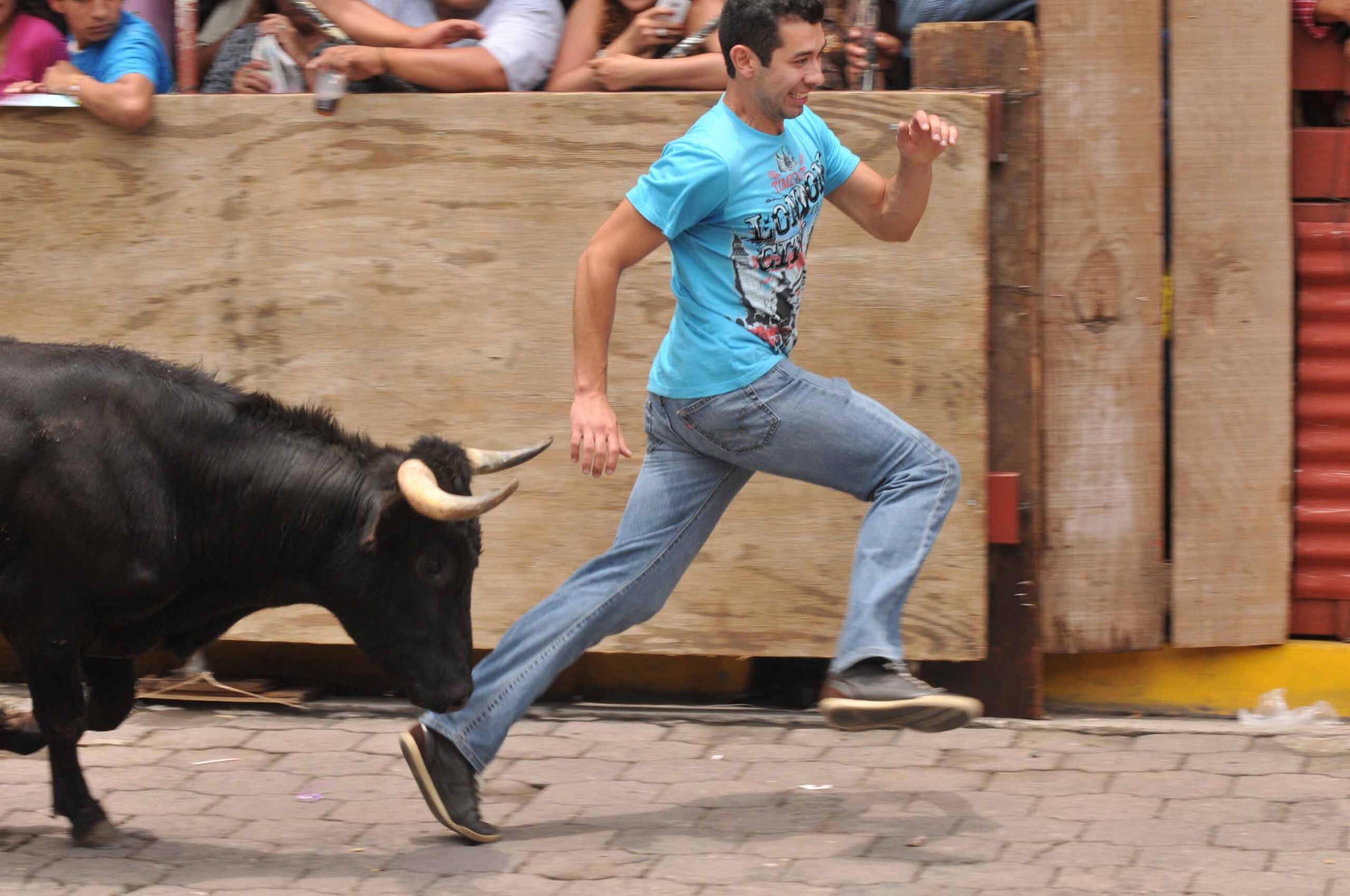 Capea de Toros de Lidia, conocida popularmente como la Xiqueña