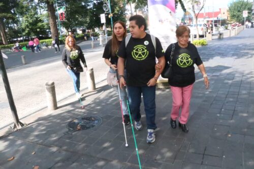 Día Internacional del Bastón Verde